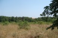 Продава ПАРЦЕЛ, с. Лозенец, област Бургас, снимка 4