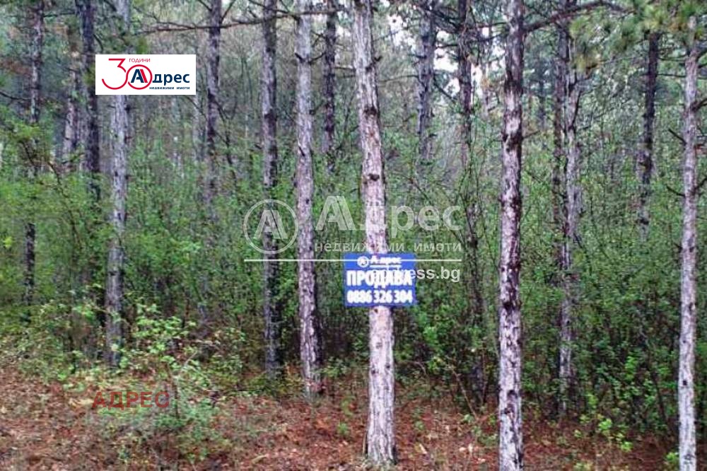 Продава ПАРЦЕЛ | Imot.bg — изображение 14