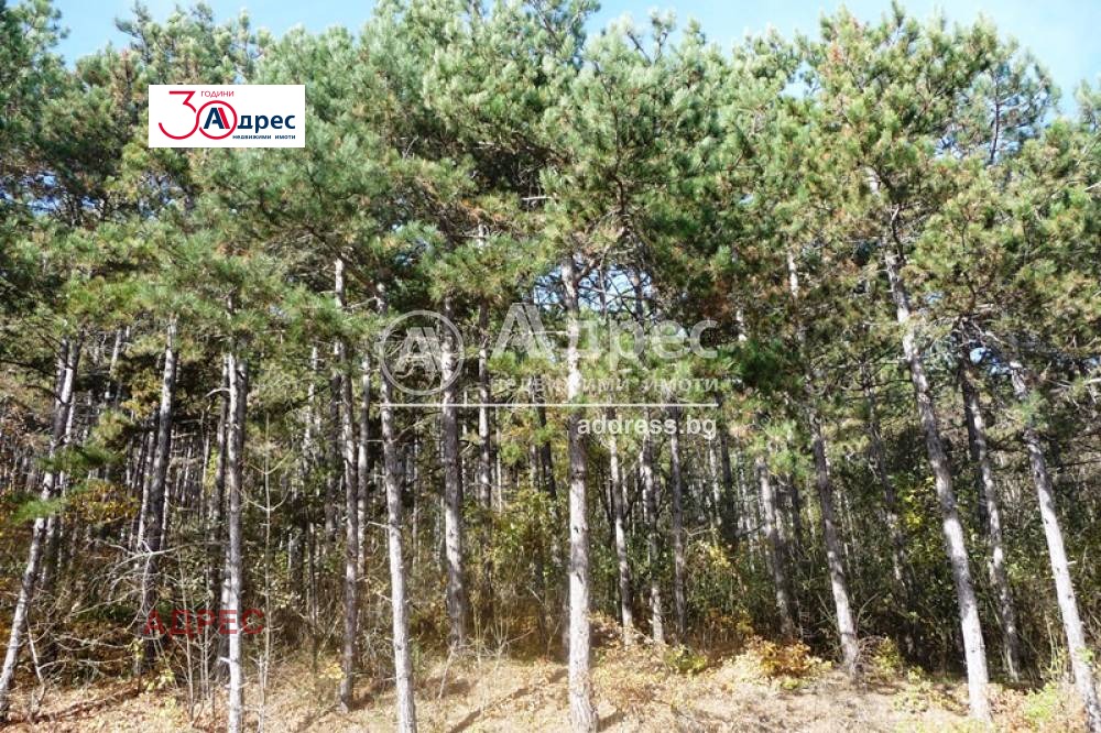 Продава ПАРЦЕЛ | Imot.bg — изображение 1