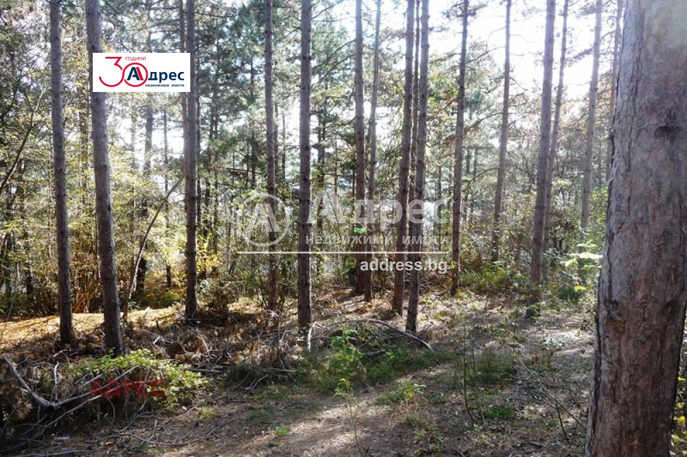 Продава ПАРЦЕЛ | Imot.bg — изображение 11