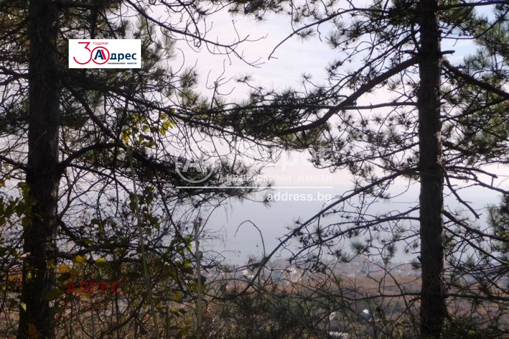 Продава ПАРЦЕЛ | Imot.bg — изображение 12