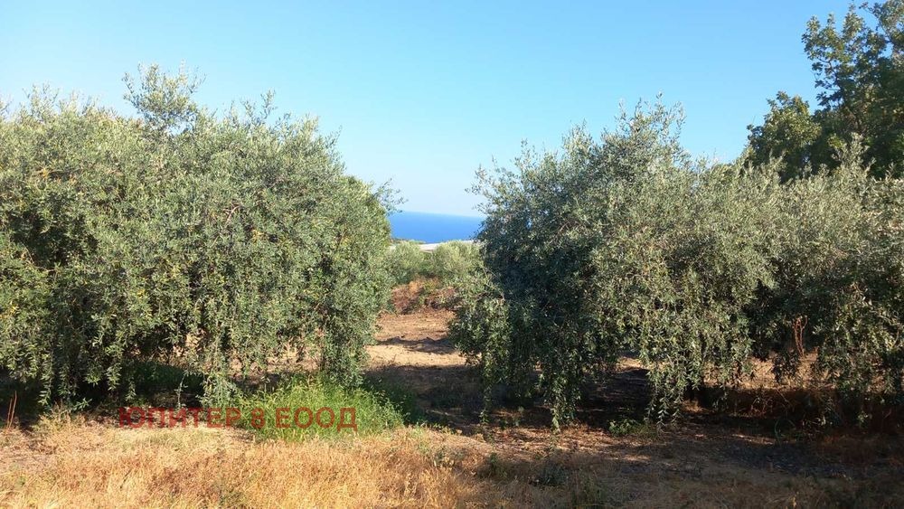 ������� ������ | Imot.bg � ����������� 11