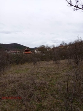 ������� ������ | Imot.bg � ����� ������ 5