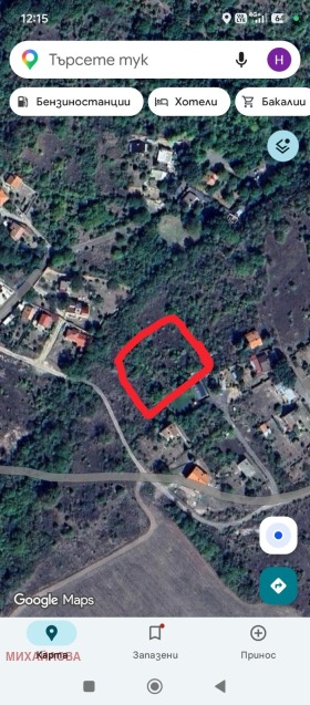 ����� ������� ������,�. ���� ����, ������ ����� ������