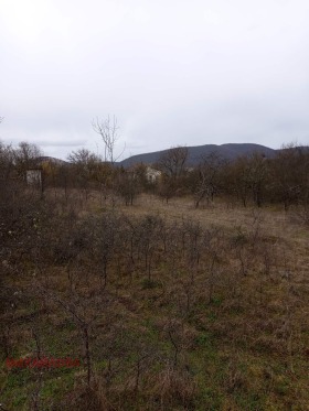 ������� ������ | Imot.bg � ����� ������ 6