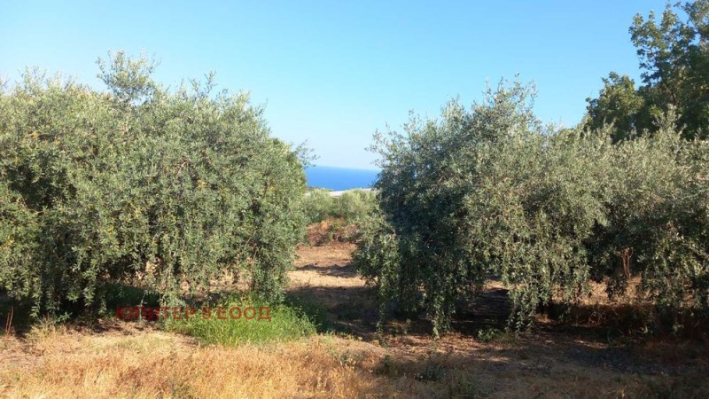 Продава ПАРЦЕЛ, Извън страната, област Извън страната, снимка 11 - Парцели - 52831319