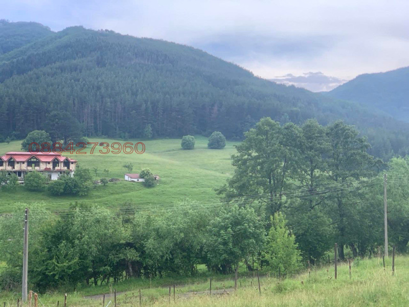 Продава ЗЕМЕДЕЛСКА ЗЕМЯ, гр. Своге, област София област, снимка 2 - Земеделска земя - 52474949