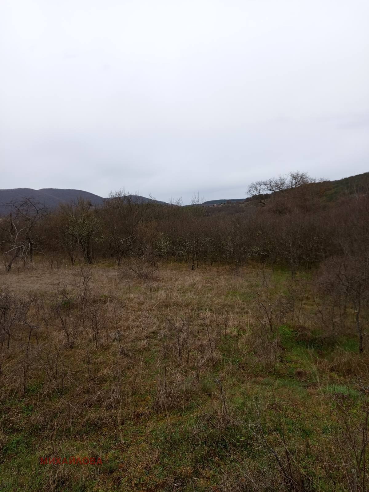 Продава ПАРЦЕЛ, с. Ново село, област Стара Загора, снимка 6 - Парцели - 54204620