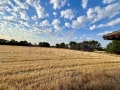 Продава ПАРЦЕЛ, област Добрич, с. Змеево • 80000 € • 25895728 — Holmes.bg