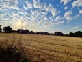 Продава ПАРЦЕЛ, област Добрич, с. Змеево • 80000 € • 25895728 — Holmes.bg