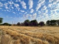 Продава ПАРЦЕЛ, област Добрич, с. Змеево • 80000 € • 25895728 — Holmes.bg