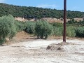 Продава ПАРЦЕЛ, Гърция, Кавала • 55000 € / 107570.65 лв. • 15441781 14