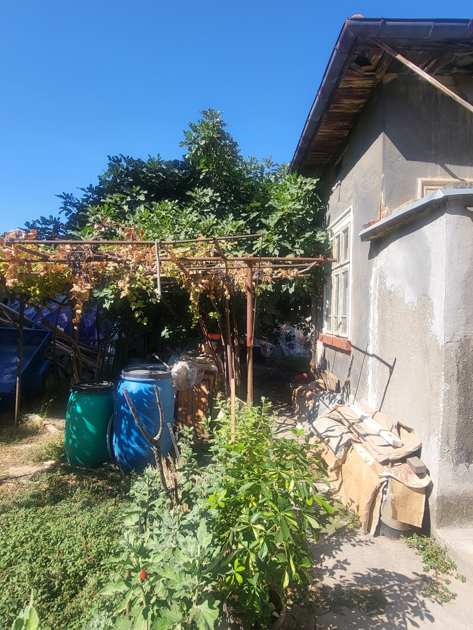 ������� ���� | Imot.bg � ����������� 7