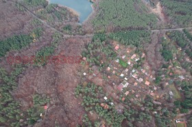 ����� ������� ������,�. ����� ����, ������ �����