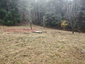 ������� ������ | Imot.bg � ����� ������ 5