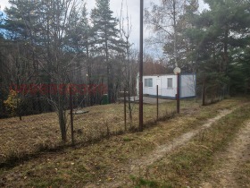 ����� ������� ������,�. ����� ����, ������ �����