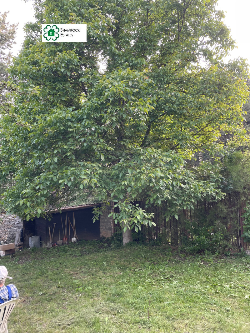 Продава КЪЩА, гр. София, с. Бистрица, снимка 9 - Къщи - 53047976