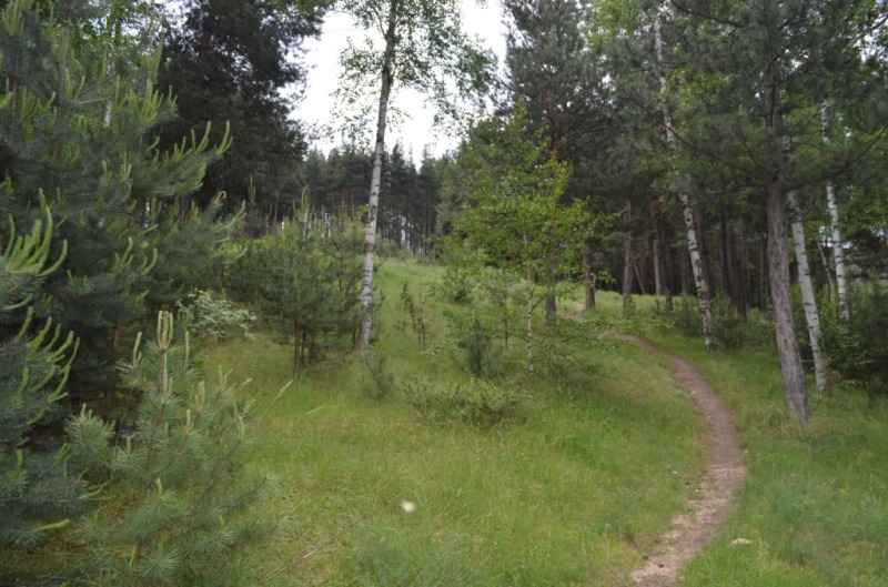 Продава КЪЩА, гр. Велинград, област Пазарджик, снимка 14 - Къщи - 53192395