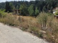 Продава КЪЩА, с. Мала църква, област София област, снимка 4
