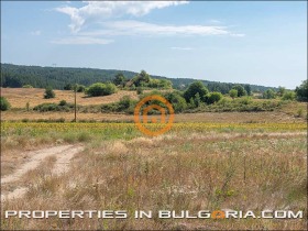������� ������ | Imot.bg � ����� ������ 12