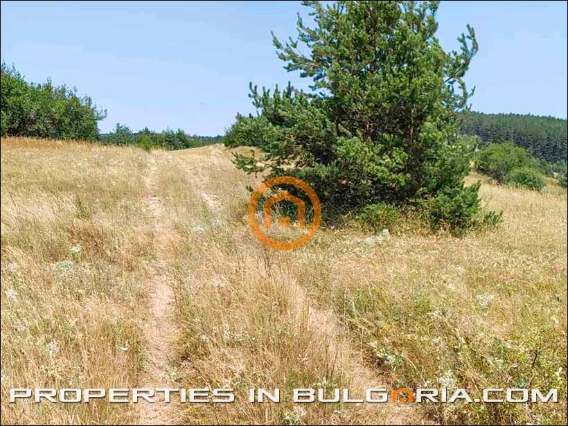 Продава ПАРЦЕЛ, с. Алино, област София област, снимка 13 - Парцели - 55778541