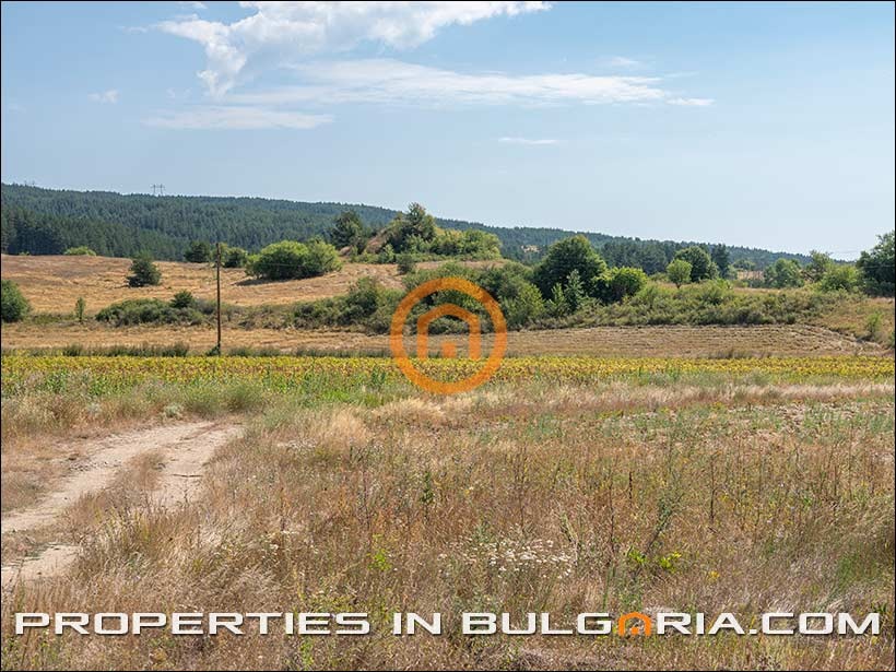 Продава ПАРЦЕЛ, с. Алино, област София област, снимка 12 - Парцели - 55778541