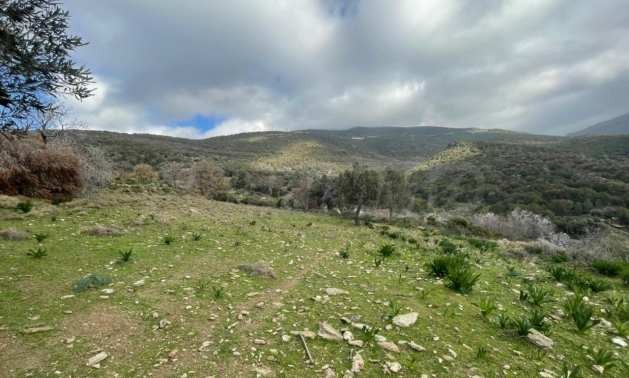 Продава ПАРЦЕЛ | Imot.bg — изображение 6