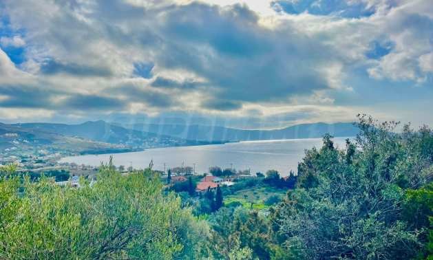 Продава ПАРЦЕЛ | Imot.bg — изображение 11