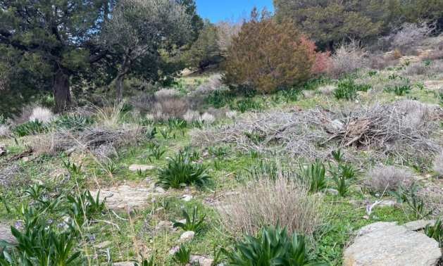 Продава ПАРЦЕЛ | Imot.bg — изображение 4