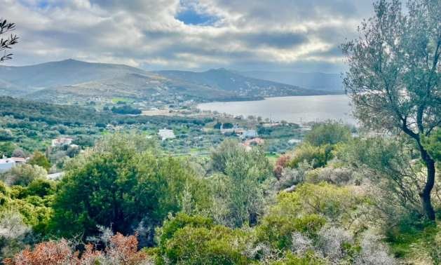 Продава ПАРЦЕЛ | Imot.bg — изображение 1