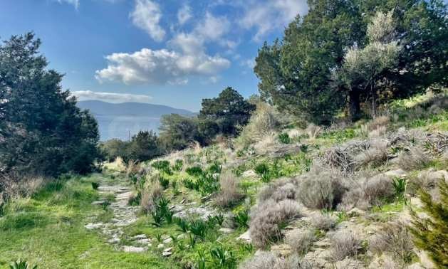 Продава ПАРЦЕЛ | Imot.bg — изображение 2