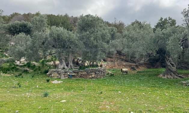 Продава ПАРЦЕЛ | Imot.bg — изображение 9