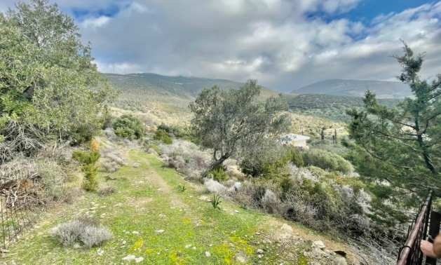 Продава ПАРЦЕЛ | Imot.bg — изображение 3