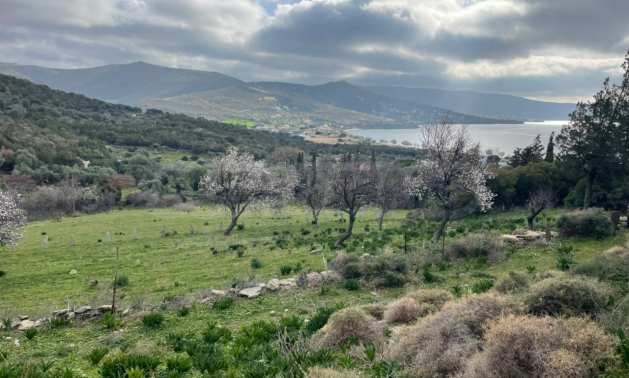 Продава ПАРЦЕЛ | Imot.bg — изображение 7