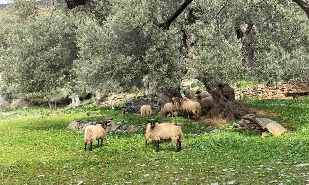 Продава ПАРЦЕЛ | Imot.bg — изображение 8