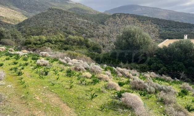 Продава ПАРЦЕЛ | Imot.bg — изображение 5