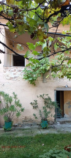 ������ ������� ������