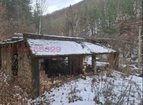 ����� ������� ������,�. ��������, ������ �����