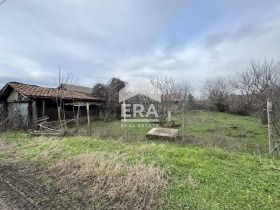 ������ ������� ������