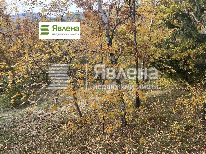 Zu verkaufen  Haus region Sofia , Dramscha , 35 qm | 81885626 - Bild [3]