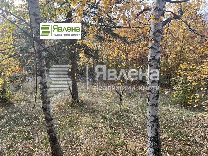Zu verkaufen  Haus region Sofia , Dramscha , 35 qm | 81885626 - Bild [4]