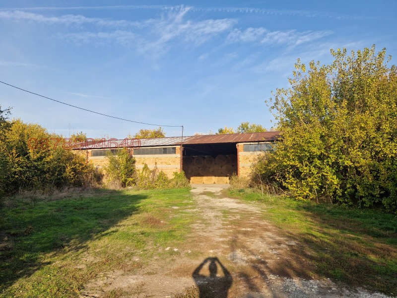 Продава ПРОМ. ПОМЕЩЕНИЕ, с. Ряхово, област Русе, снимка 7 - Производствени сгради - 52975579