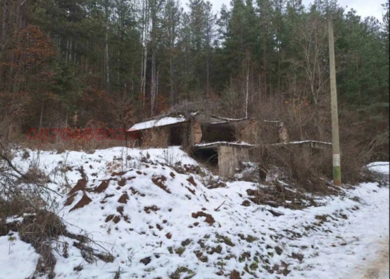 Продава ПАРЦЕЛ, с. Царичина, област София област, снимка 4 - Парцели - 53176069