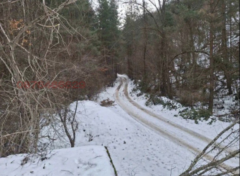 Продава ПАРЦЕЛ, с. Царичина, област София област, снимка 3 - Парцели - 53176069