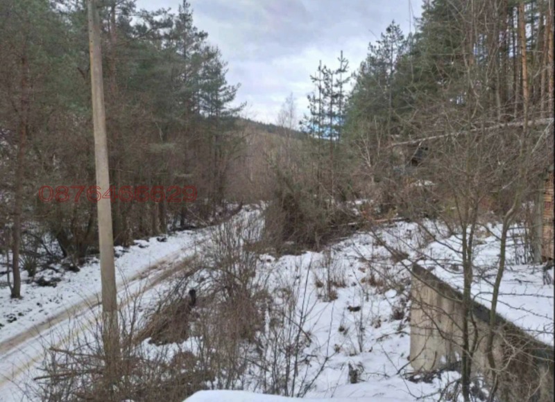 Продава ПАРЦЕЛ, с. Царичина, област София област, снимка 2 - Парцели - 53176069