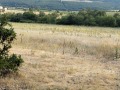 Продава ПАРЦЕЛ, с. Пчелин, област София област, снимка 2