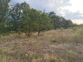 Продава ПАРЦЕЛ, област София, с. Пчелин • 54000 € • 79091889 — Holmes.bg