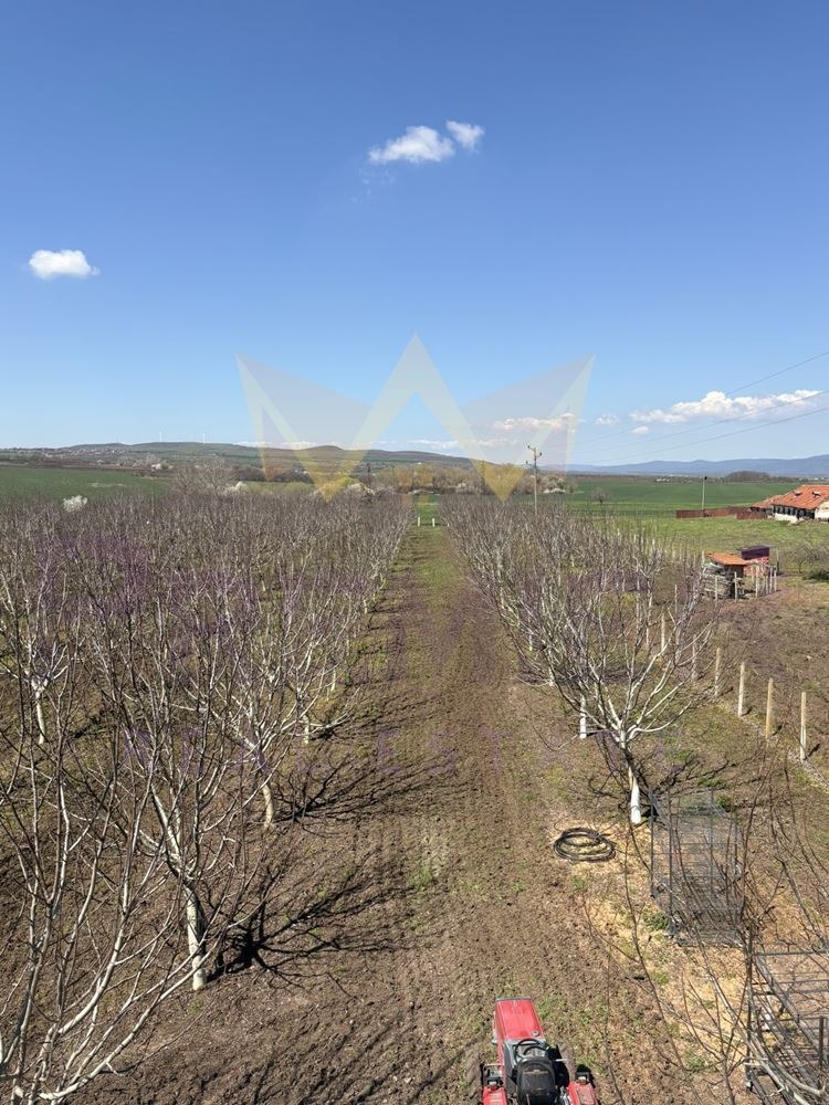 ������� ���� | Imot.bg � ����������� 2