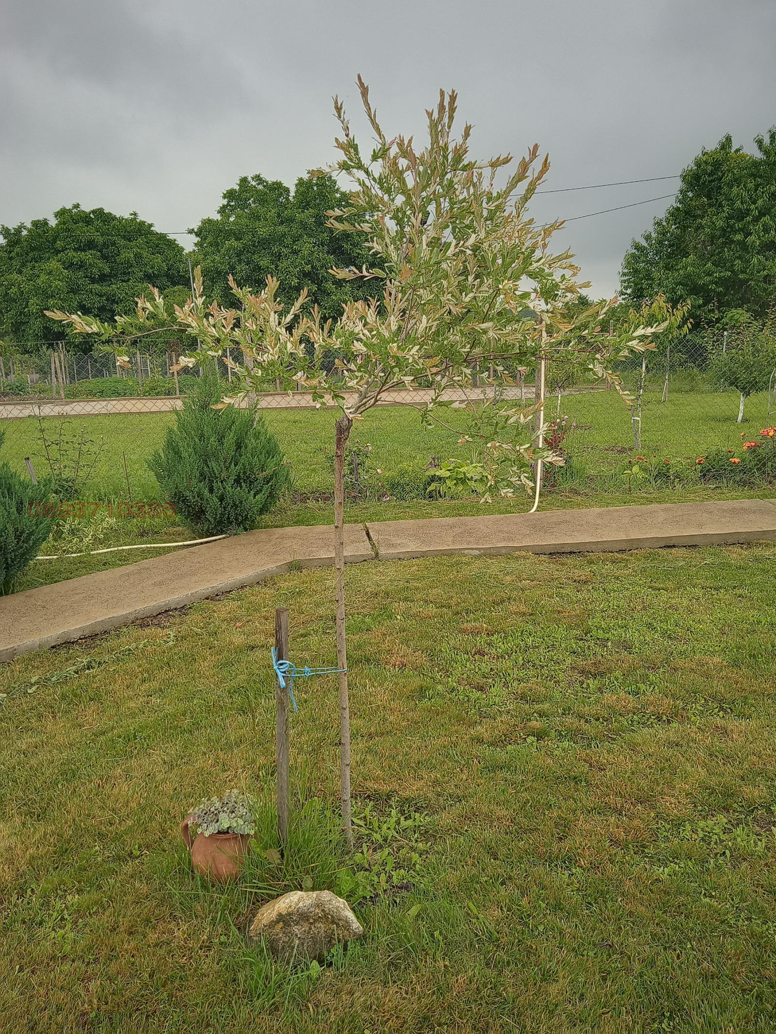 ������� ���� | Imot.bg � ����������� 3