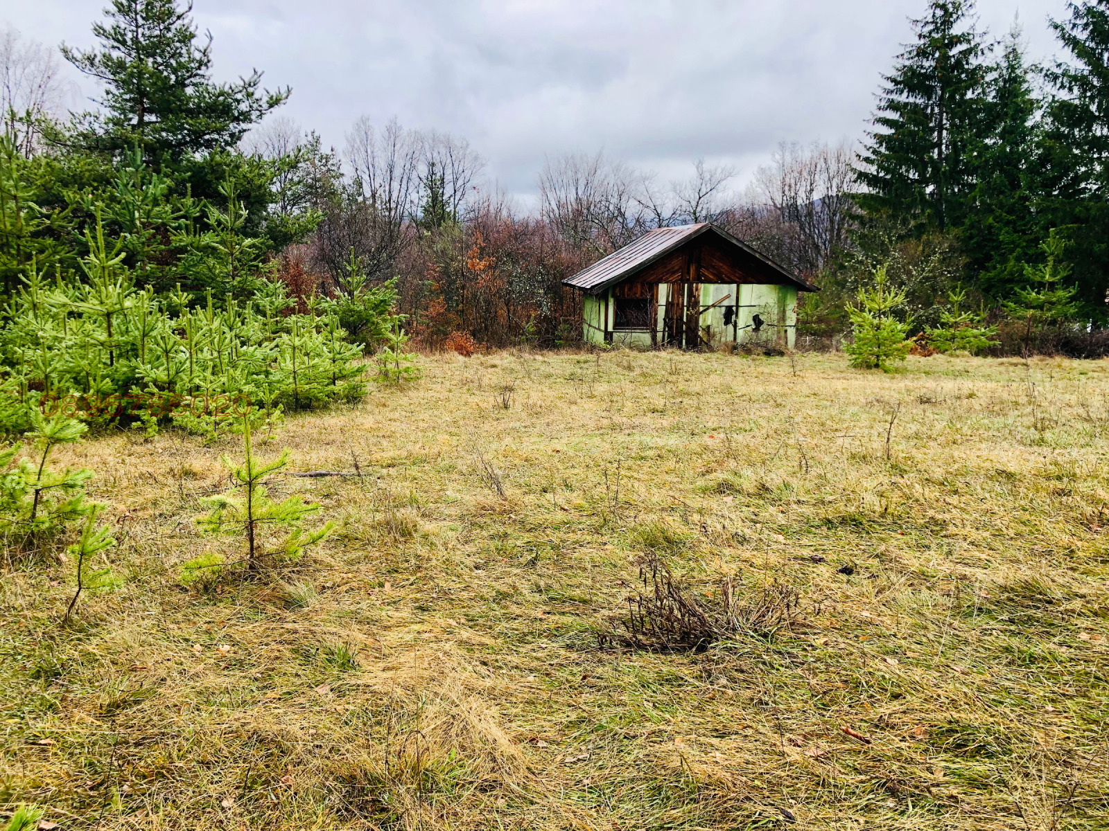 ������� ������ | Imot.bg � ����������� 8